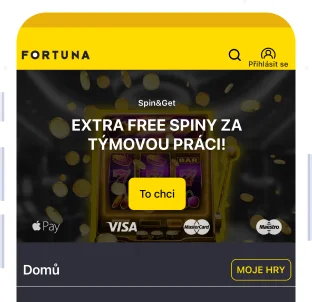 Mobilní aplikace